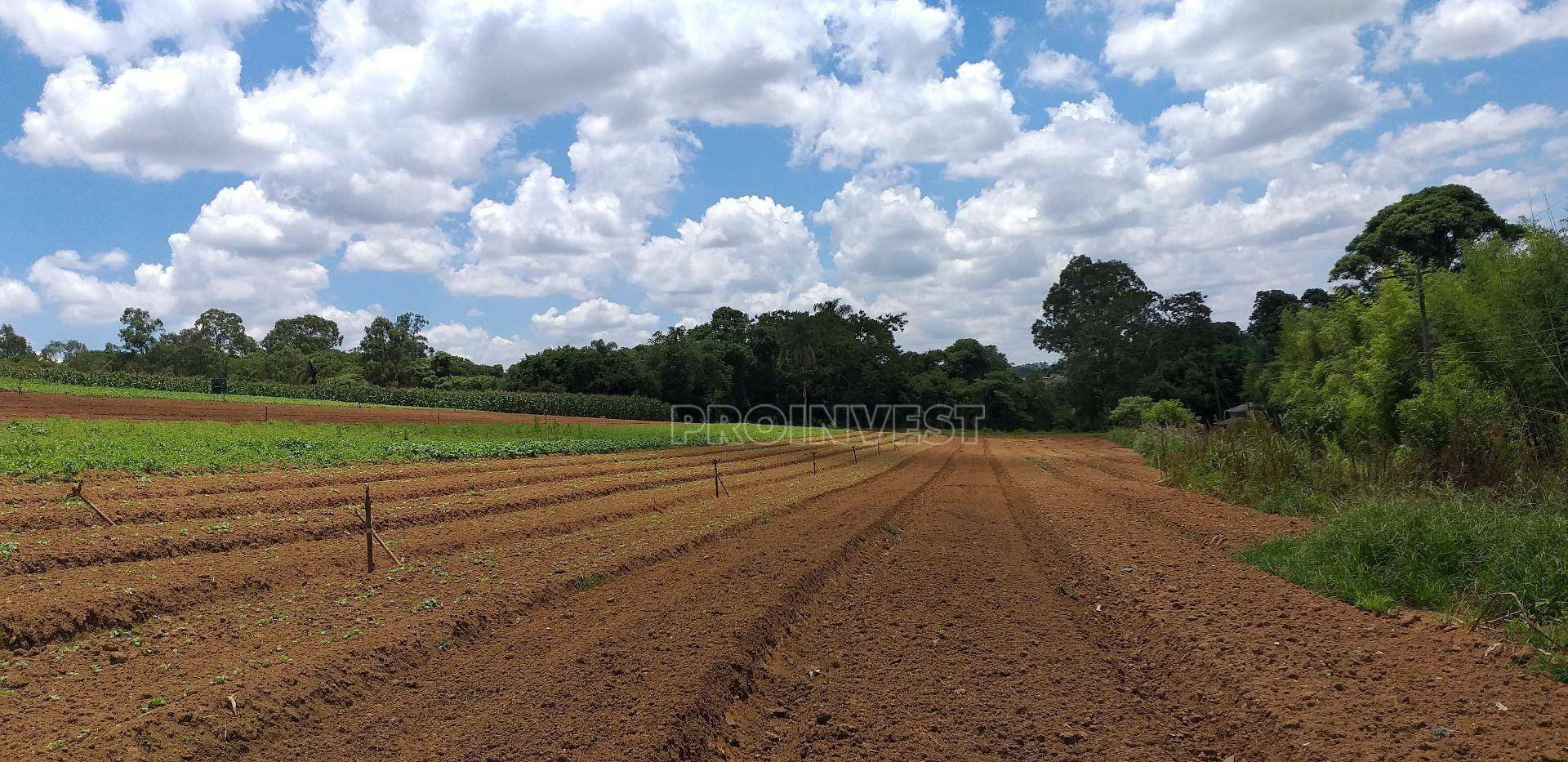 Terreno à venda, 822000M2 - Foto 1