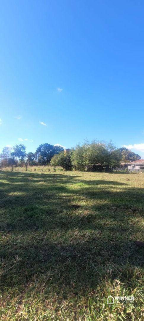 Chácara, 2 quartos, 10000 m² - Foto 4