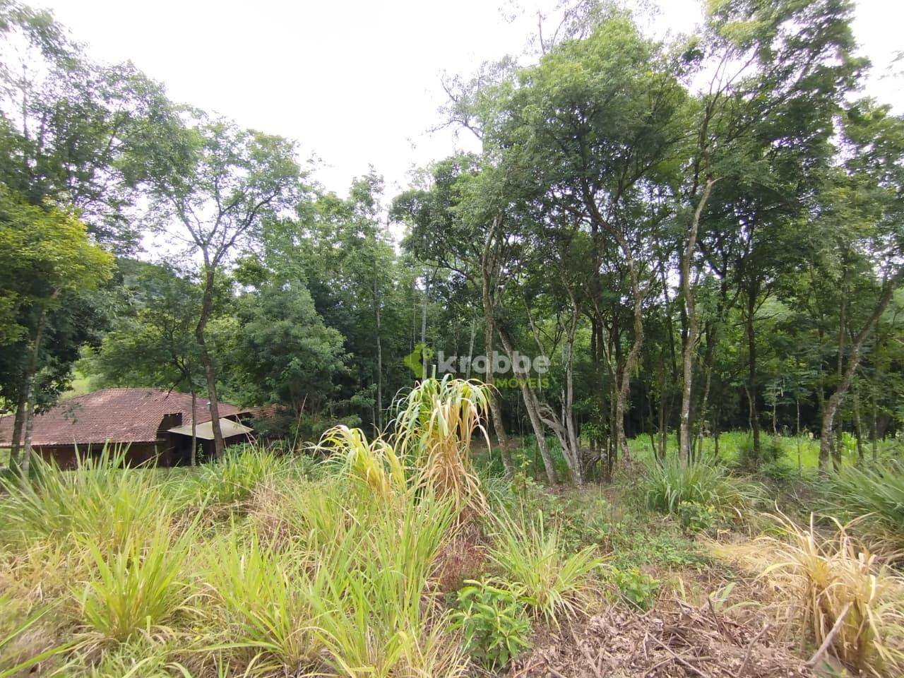 Terreno, 3 hectares - Foto 4