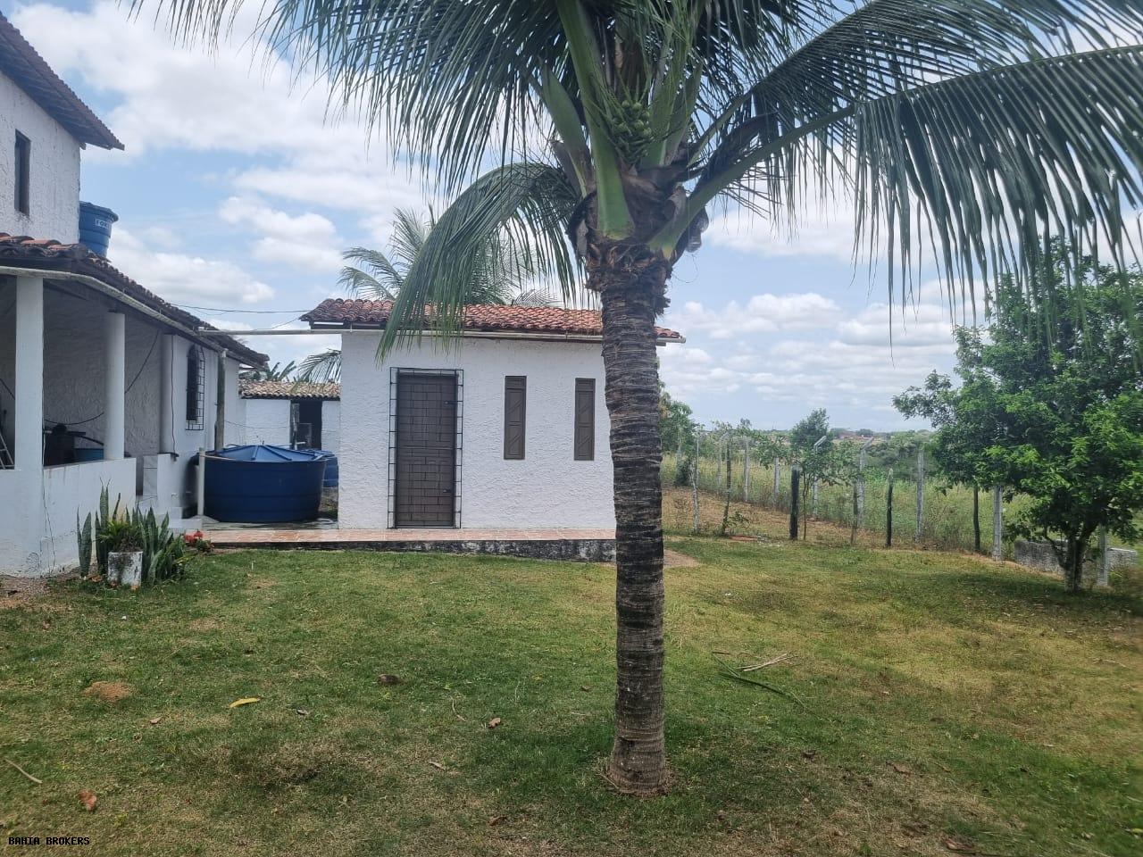 Fazenda à venda, 1000m² - Foto 50