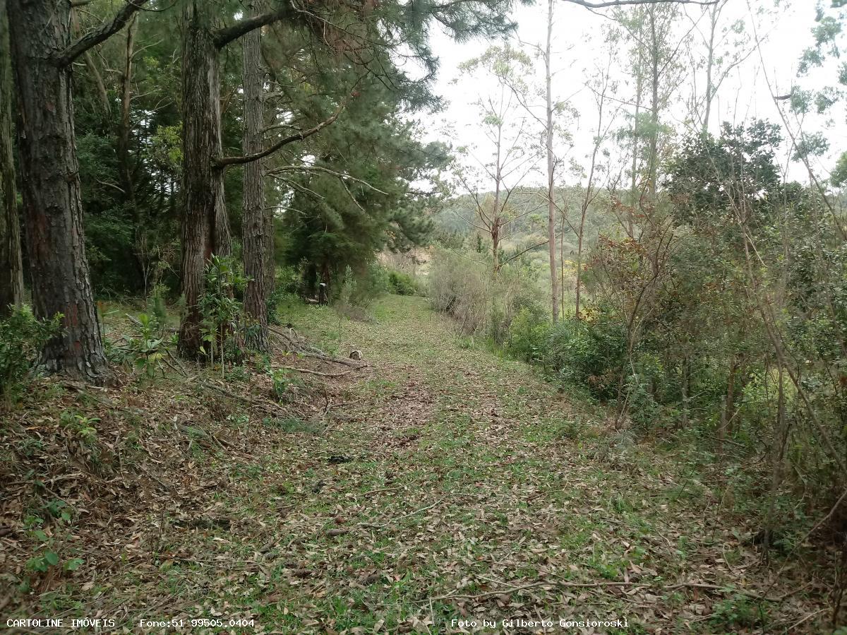 Fazenda à venda com 4 quartos, 160000m² - Foto 2