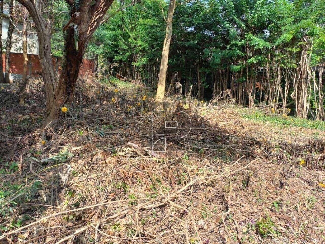 Loteamento e Condomínio à venda, 1236M2 - Foto 3