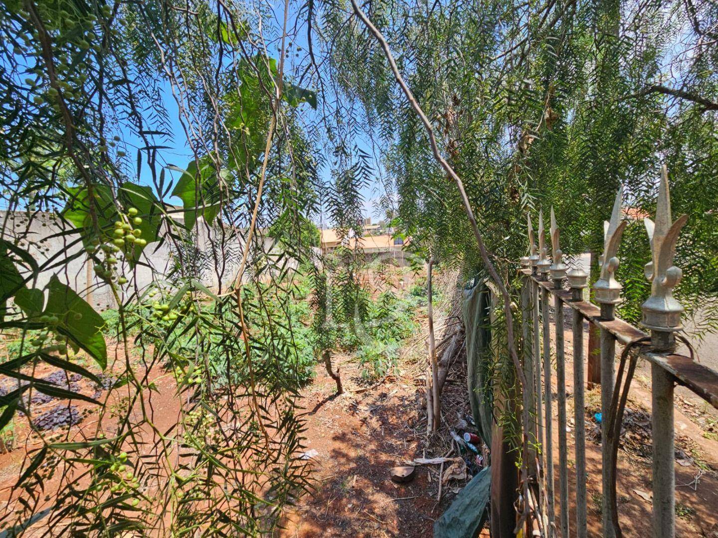 Terreno, 350 m² - Foto 3