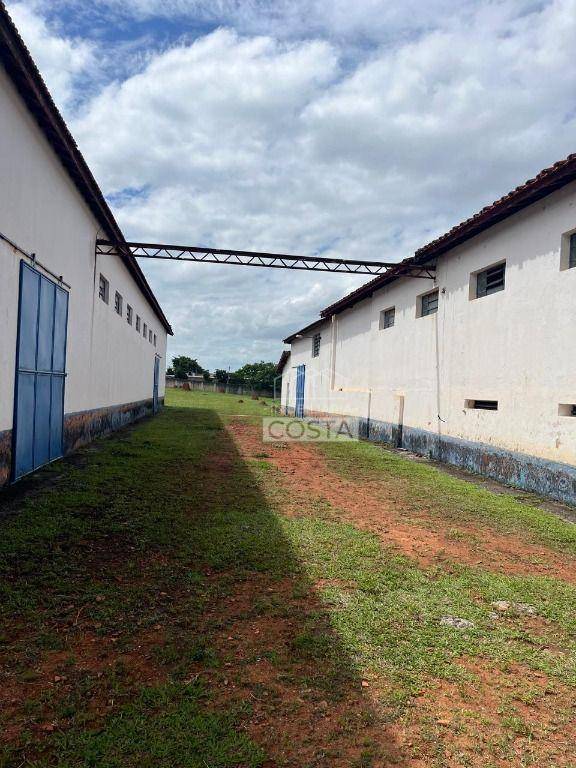 Depósito-Galpão, 1814 m² - Foto 4