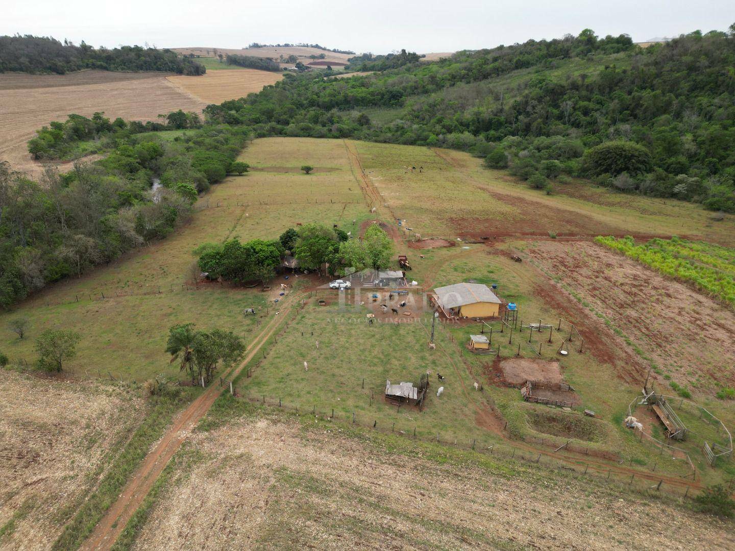 Sítio à venda com 3 quartos, 300m² - Foto 2