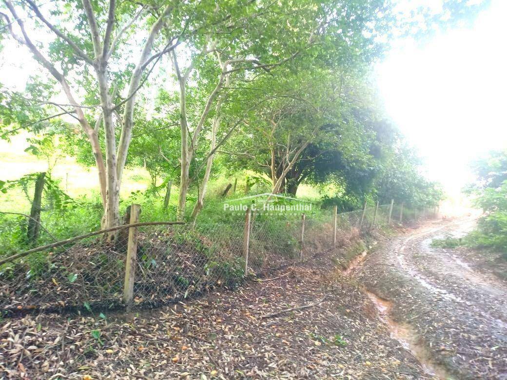 Sítio à venda com 4 quartos, 15000M2 - Foto 19