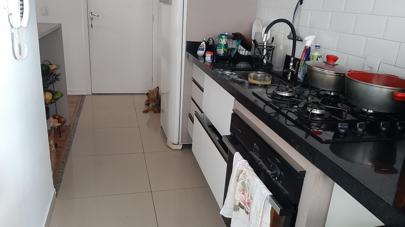 Apartamento à venda com 2 quartos, 59m² - Foto 20