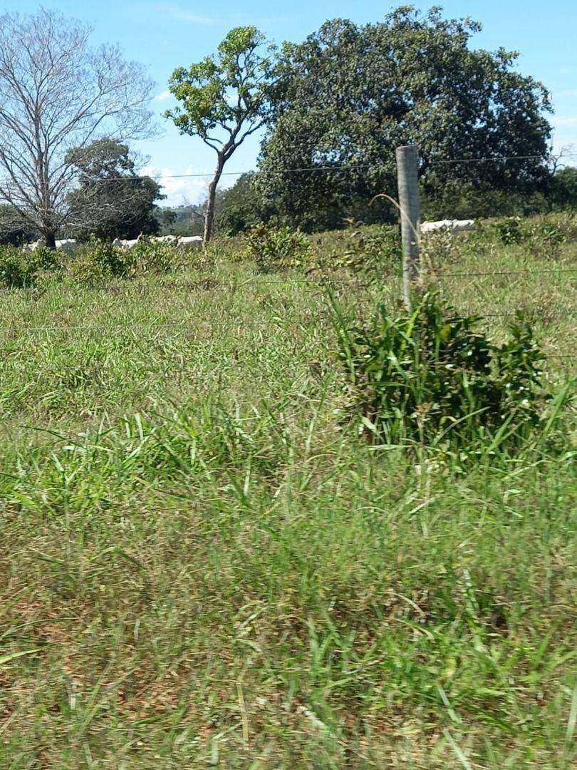 Fazenda à venda, 11610000M2 - Foto 10