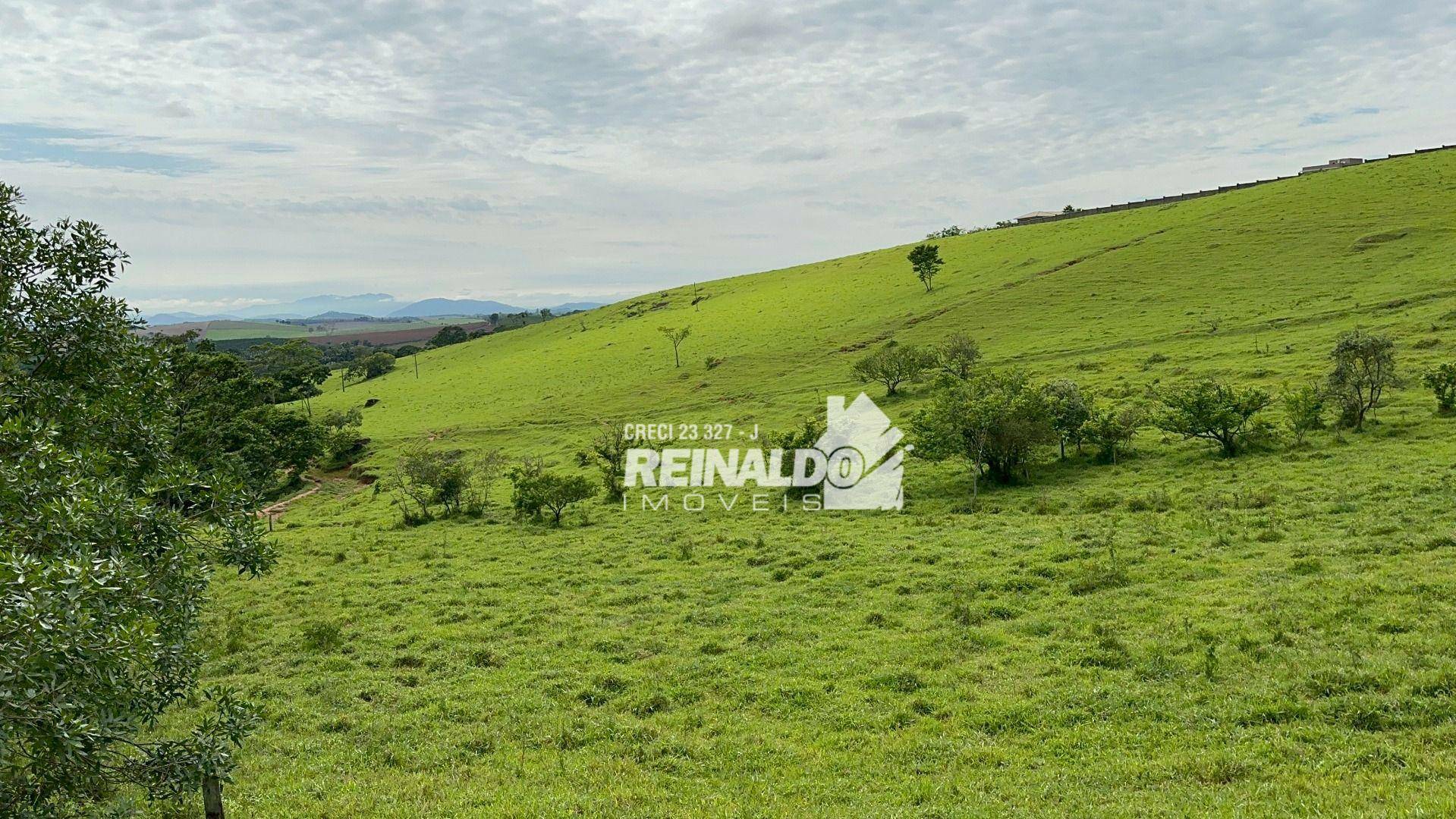 Fazenda à venda com 8 quartos, 950m² - Foto 22