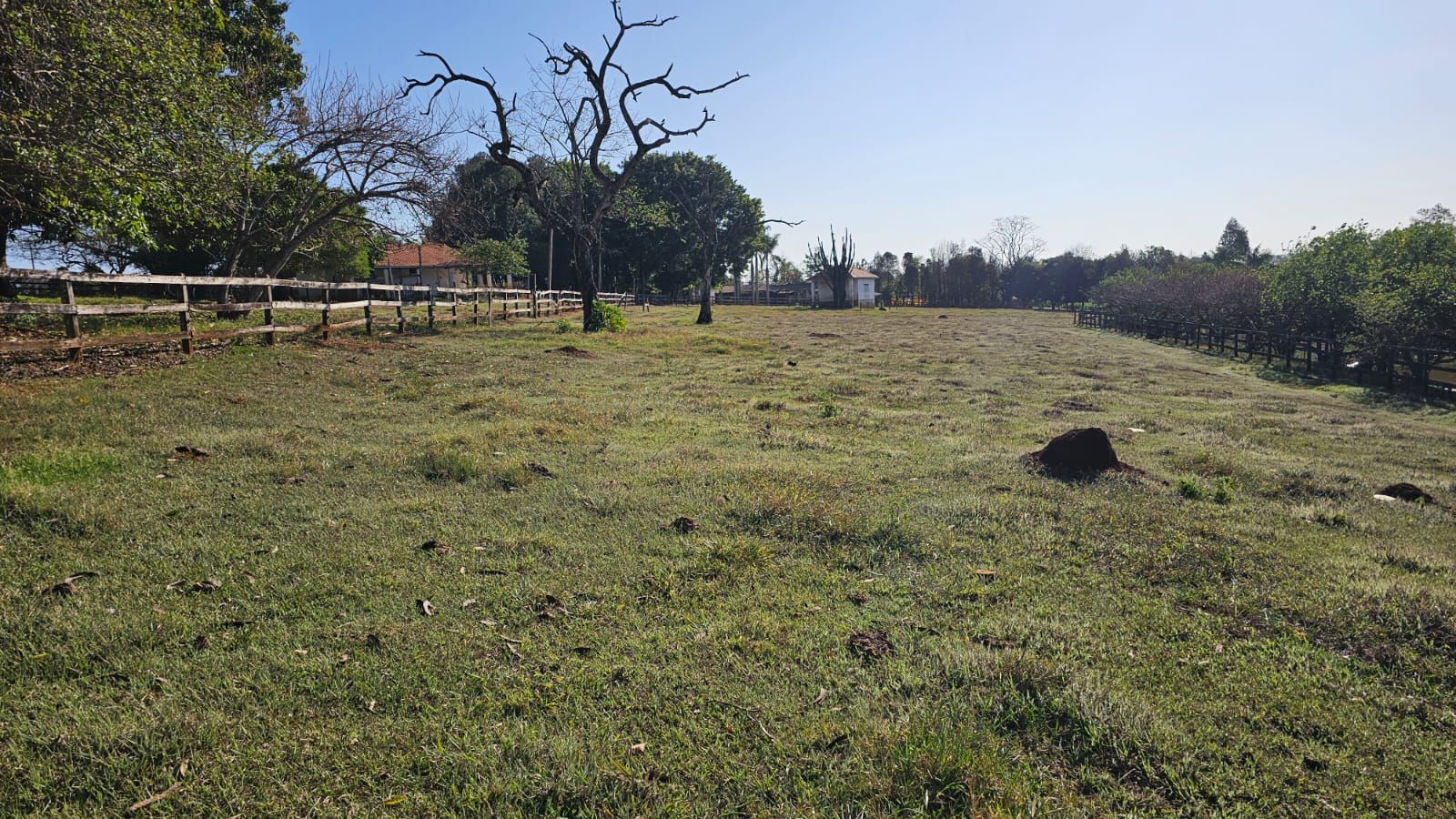 Haras e Área Rural Padrão à venda com 3 quartos, 96800M2 - Foto 25