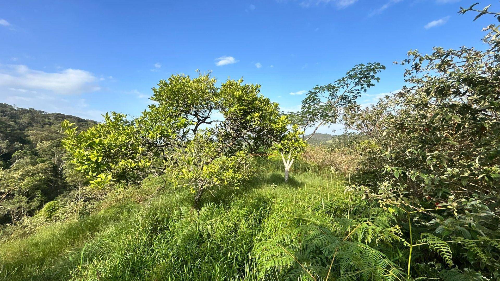 Terreno, 14 m² - Foto 6