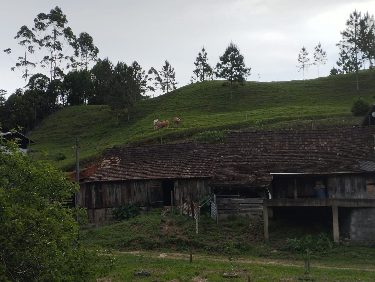 Terreno à venda, 216272M2 - Foto 6