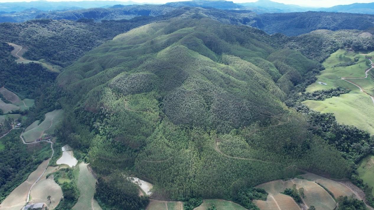 Fazenda à venda, 1564600m² - Foto 29