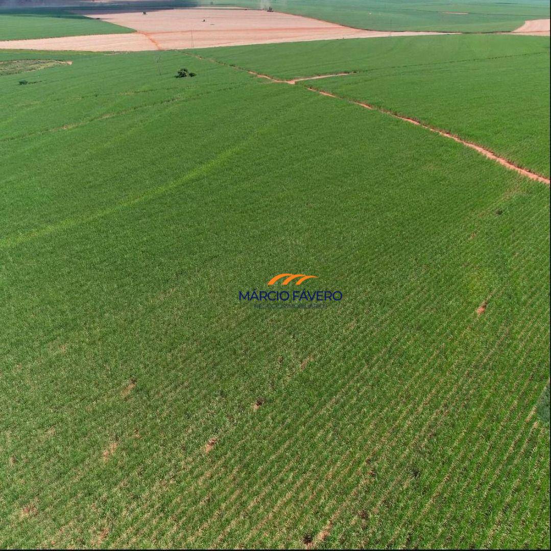 Fazenda, 465 hectares - Foto 5