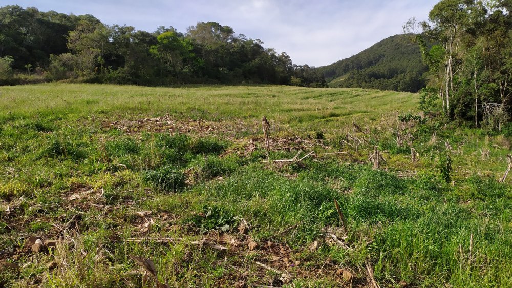 Fazenda à venda com 4 quartos, 12m² - Foto 21