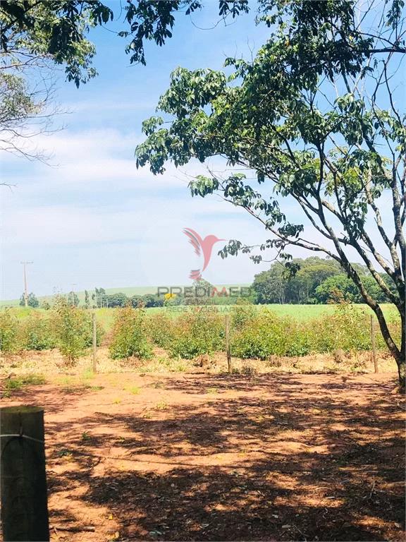 Fazenda à venda com 2 quartos, 36300m² - Foto 7