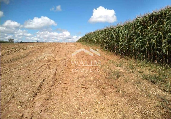 Fazenda-Sítio-Chácara, 650 hectares - Foto 3