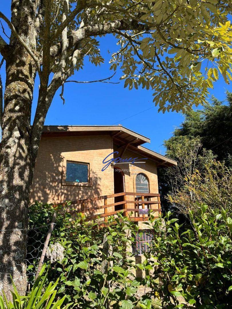 Chácara, 2 quartos, 1237 m² - Foto 7