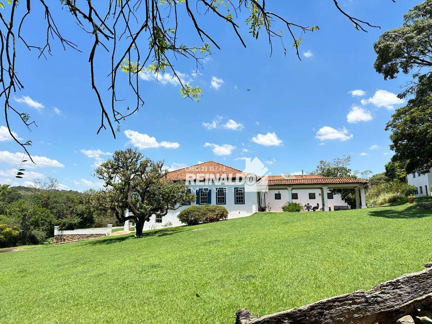 Fazenda à venda com 5 quartos, 3438m² - Foto 4