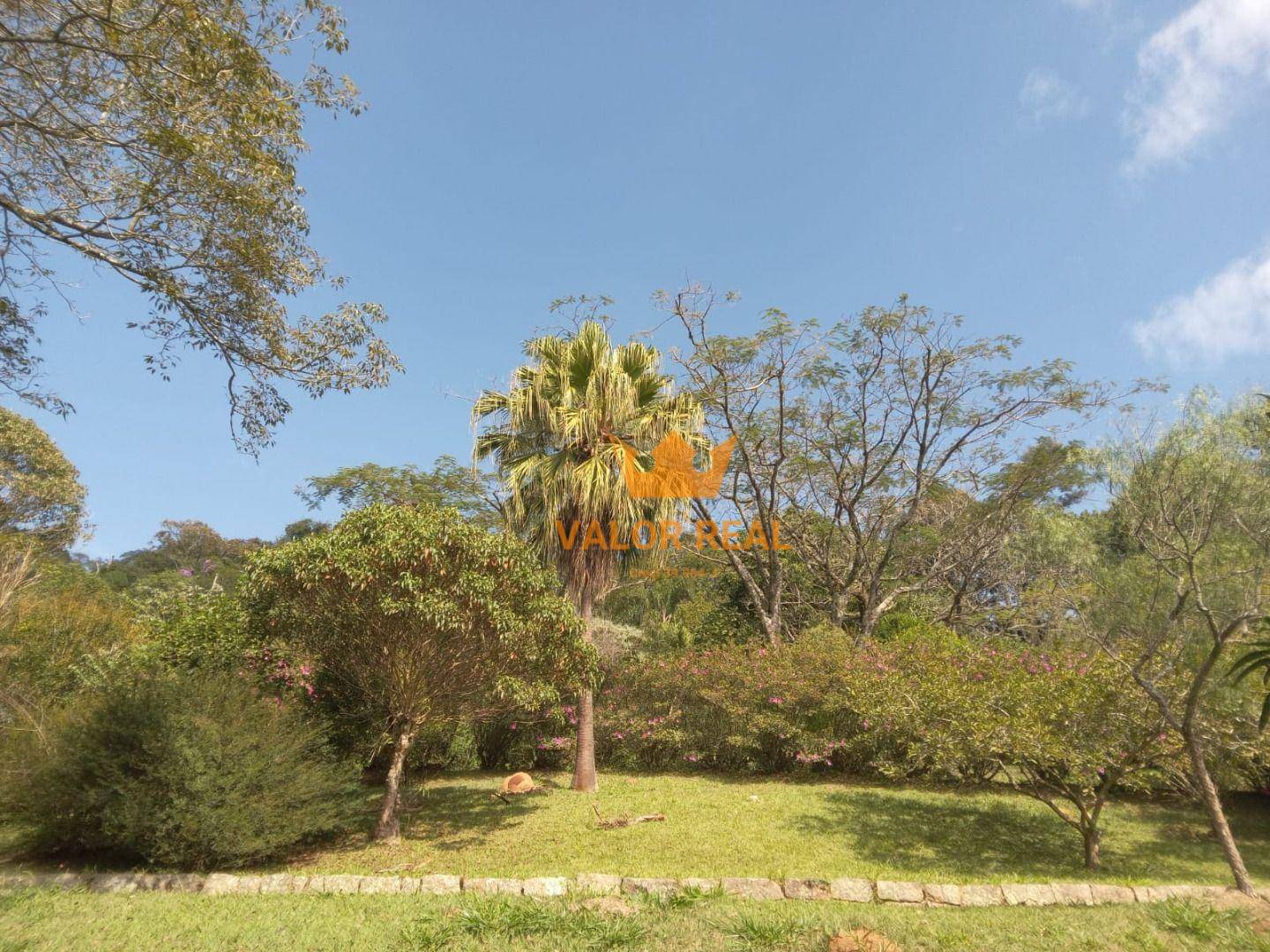 Sítio, 15 quartos, 10 hectares - Foto 29