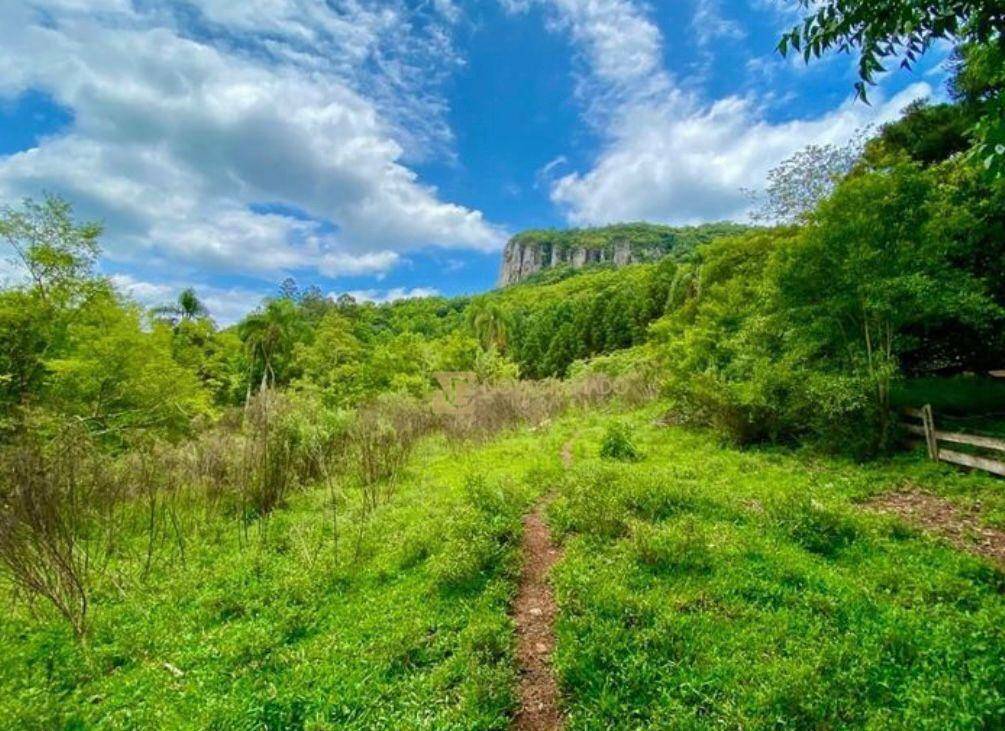 Sítio à venda, 350000M2 - Foto 1