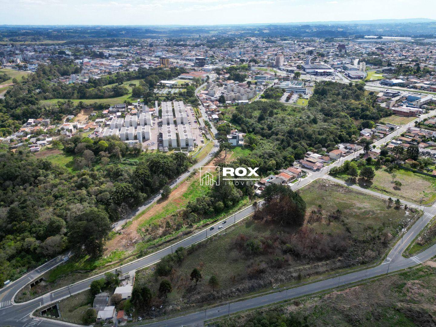 Terreno, 3 hectares - Foto 5