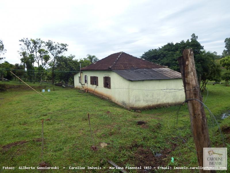 Sítio à venda com 3 quartos, 60000m² - Foto 3