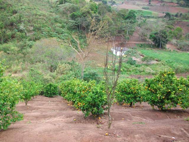 Fazenda à venda com 3 quartos, 400m² - Foto 20