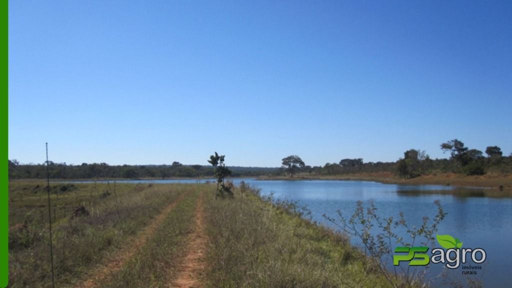 Fazenda à venda, 18029000M2 - Foto 12