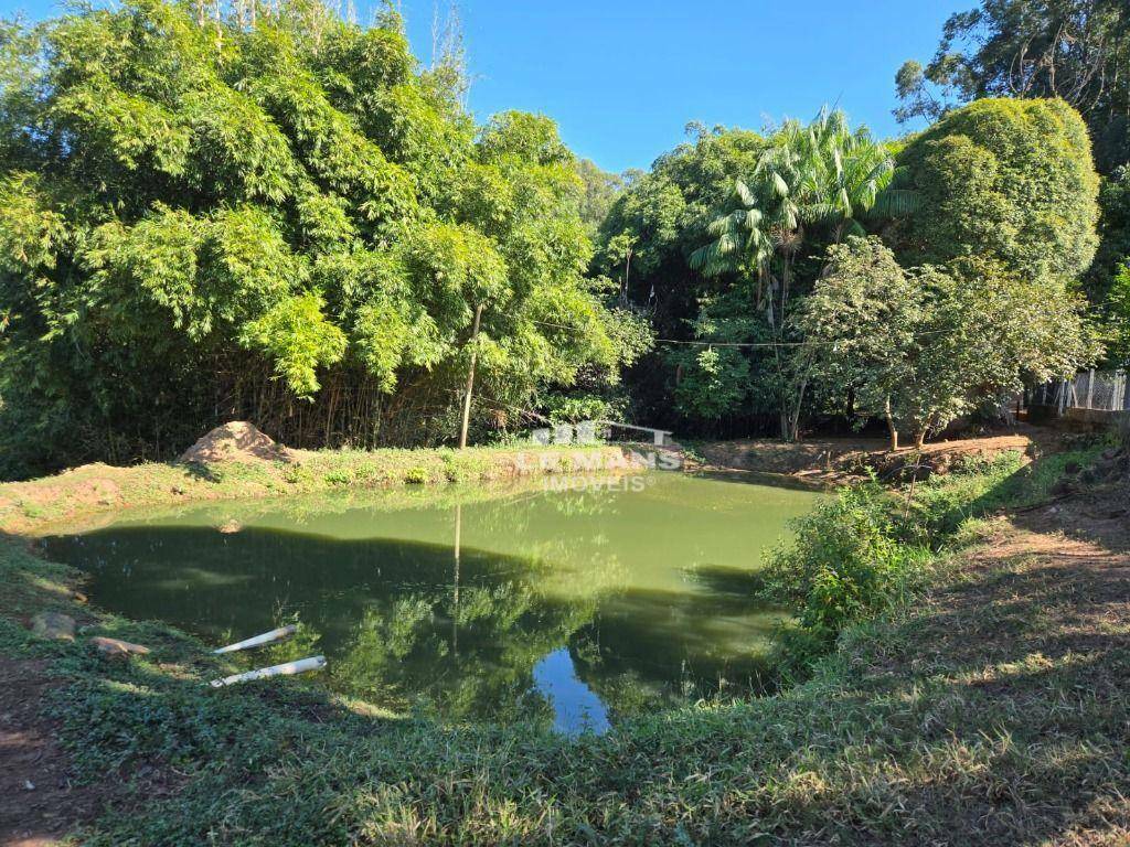 Fazenda à venda com 2 quartos, 400m² - Foto 35