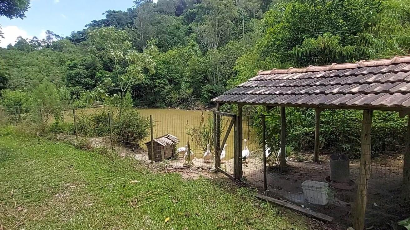 Fazenda à venda com 8 quartos, 120000m² - Foto 46