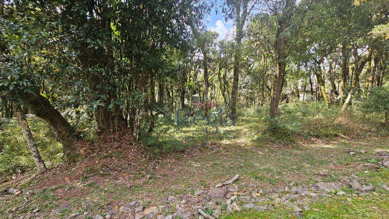 Loteamento e Condomínio à venda, 646M2 - Foto 17