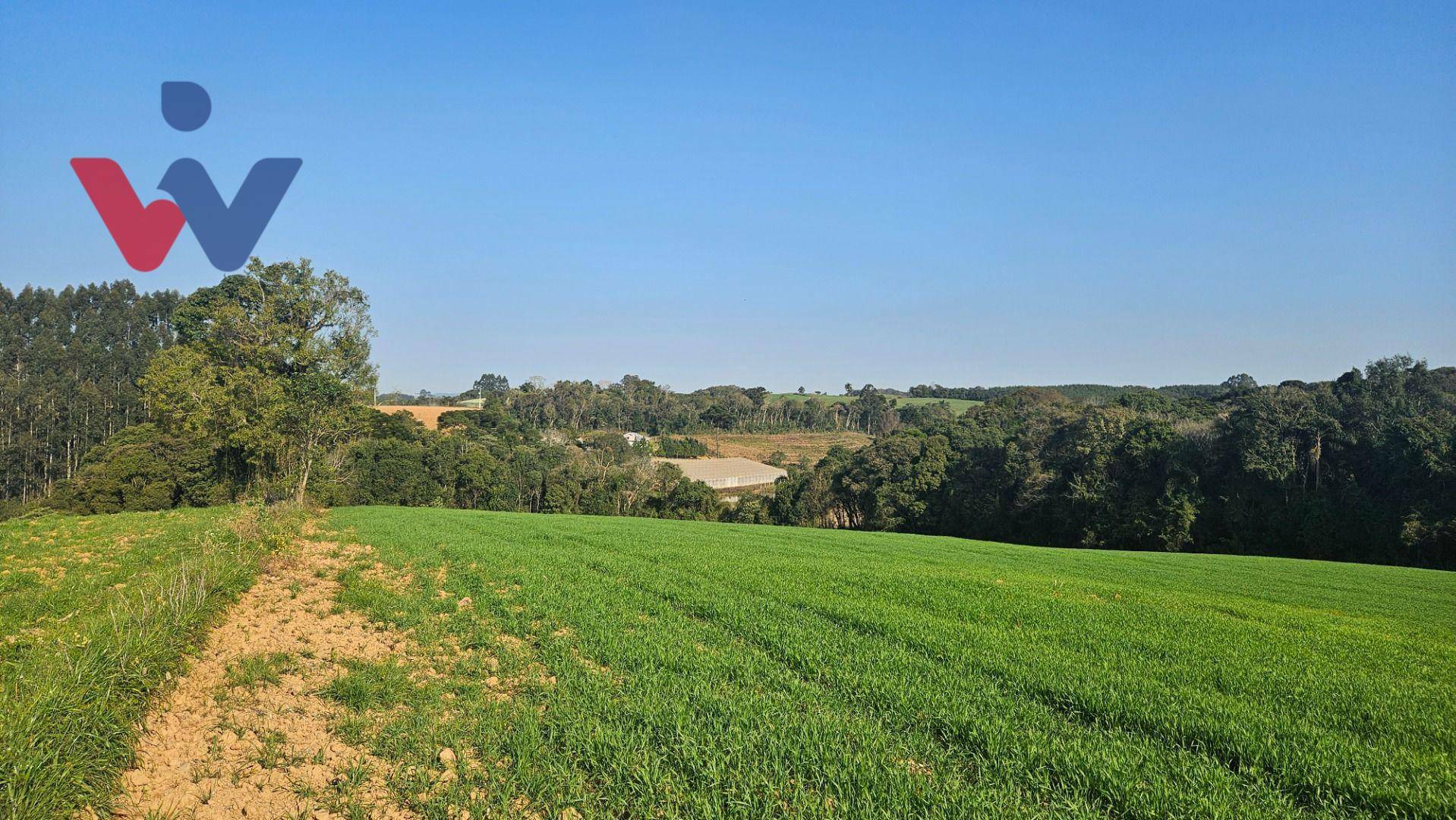 Chácara à venda, 16000M2 - Foto 1