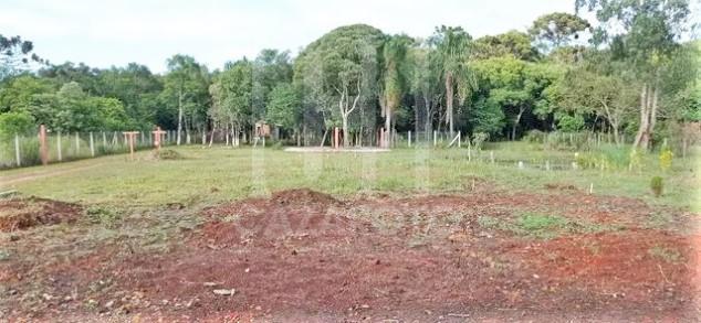 Fazenda à venda com 3 quartos, 5000m² - Foto 14