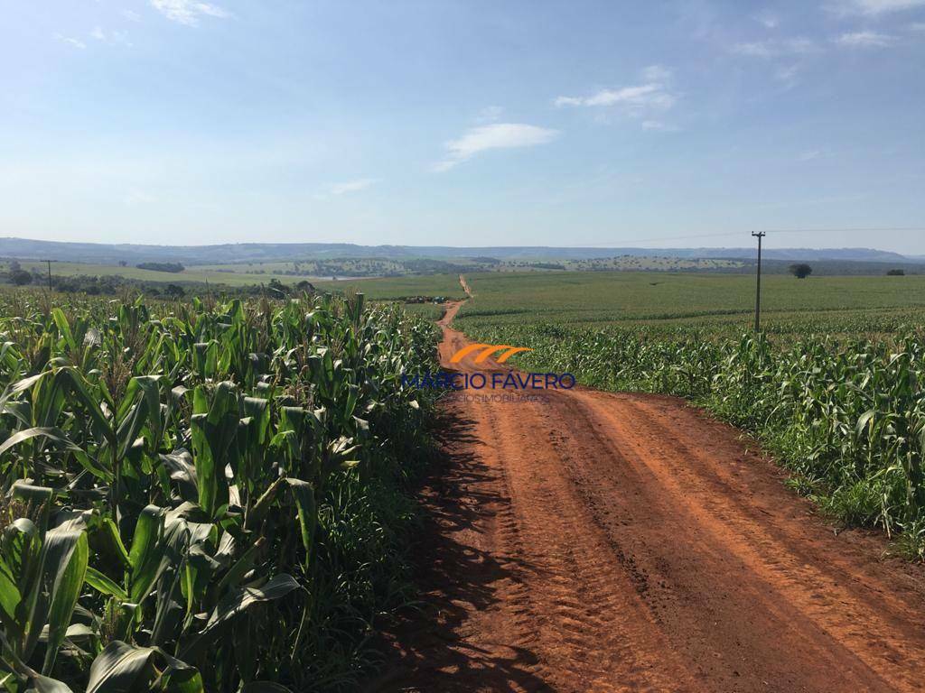 Fazenda, 266 hectares - Foto 2