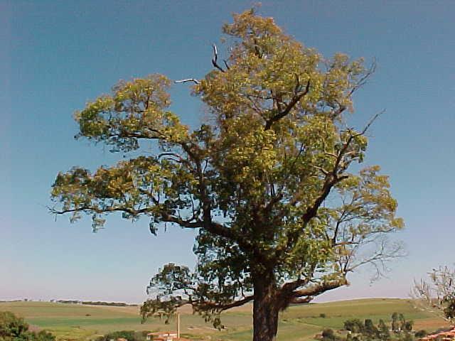 Loteamento e Condomínio à venda, 2000M2 - Foto 22