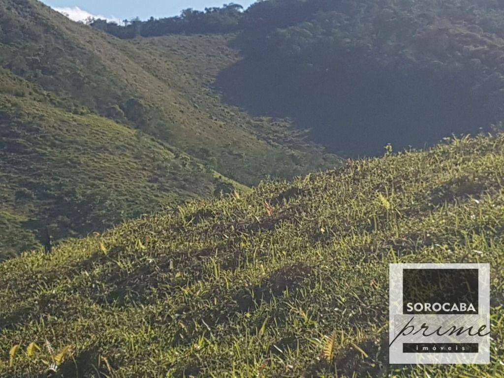 Fazenda à venda, 202000M2 - Foto 5