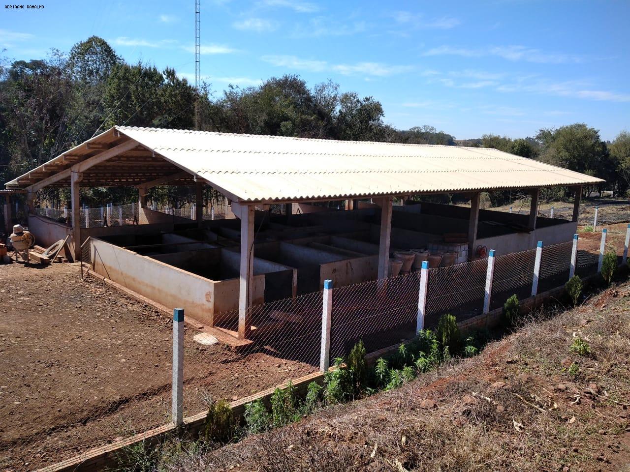 Fazenda para alugar com 3 quartos, 20000m² - Foto 40