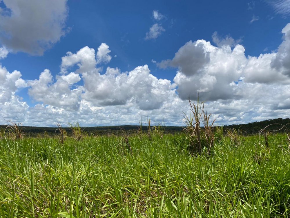 Fazenda-Sítio-Chácara, 740 hectares - Foto 3