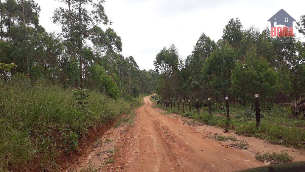 Terreno à venda, 500000M2 - Foto 3