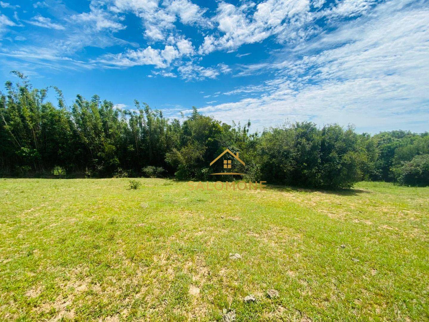 Terreno, 10 hectares - Foto 4