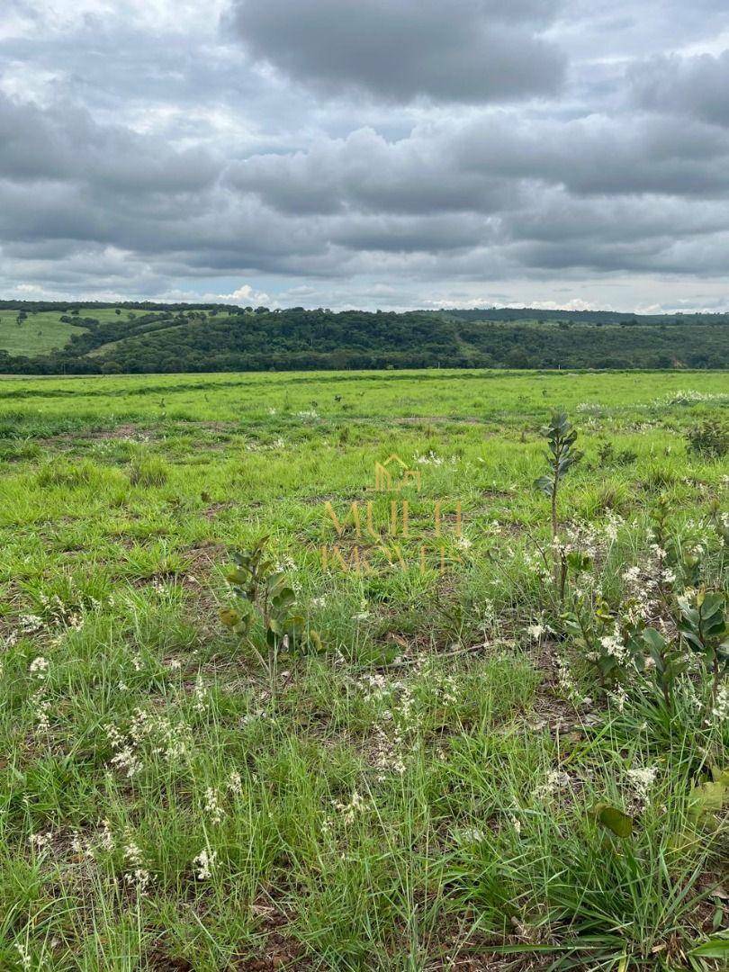 Fazenda à venda com 3 quartos, 10360000M2 - Foto 17