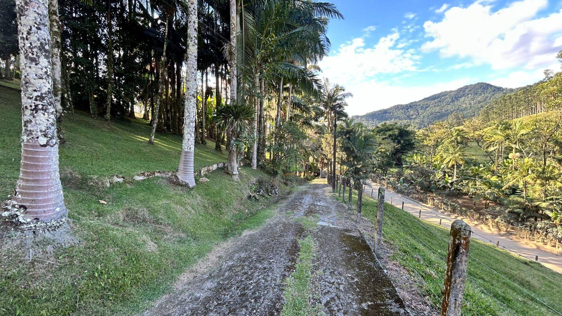 Sítio, 3 hectares - Foto 11