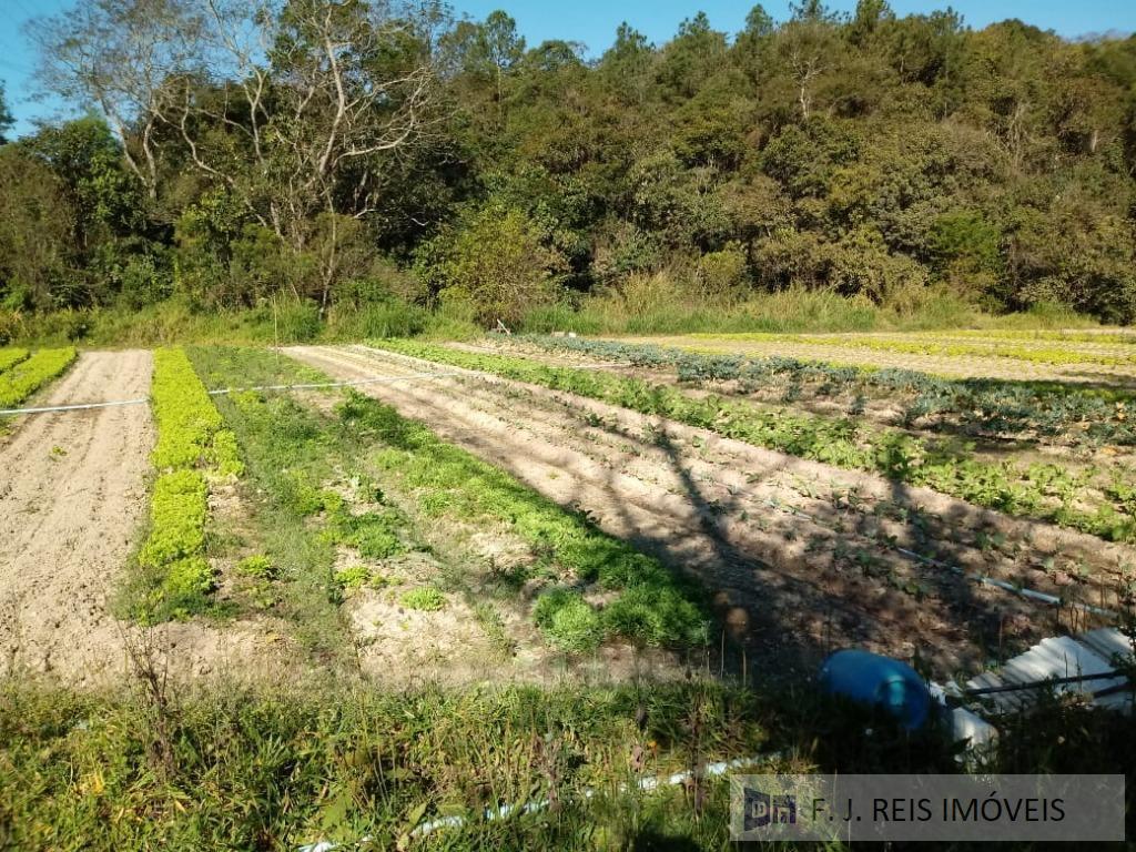 Fazenda à venda com 3 quartos, 8800m² - Foto 22