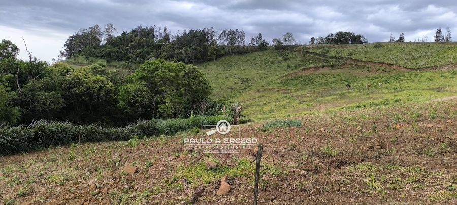 Sítio, 7 hectares - Foto 10