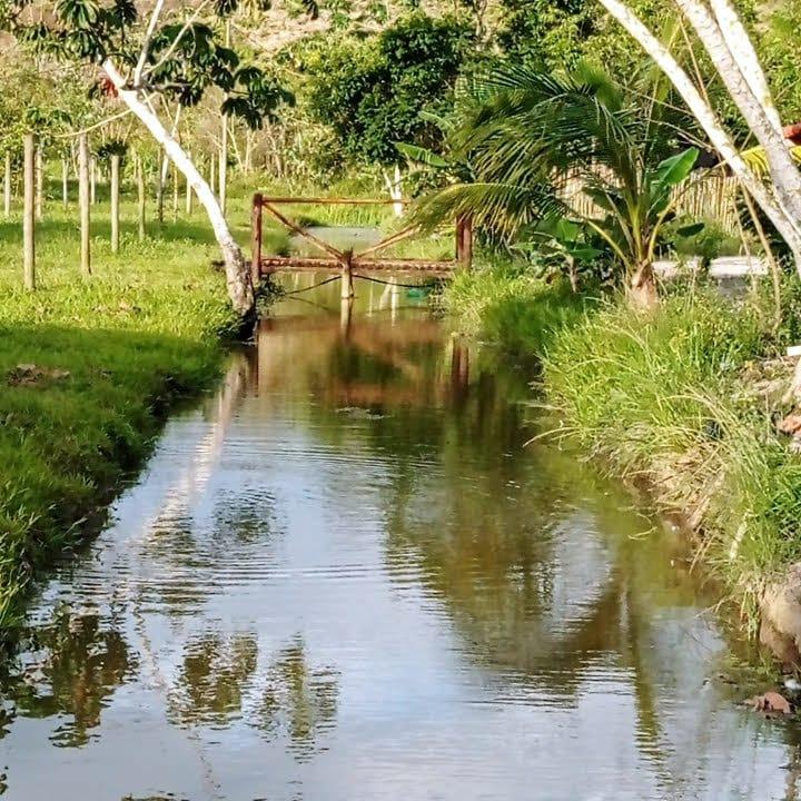 Fazenda à venda com 3 quartos, 80000m² - Foto 7