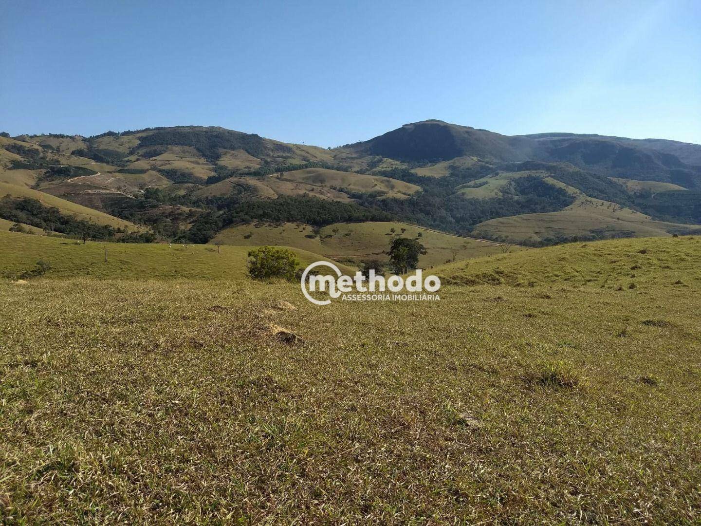 Fazenda à venda com 3 quartos, 123m² - Foto 8