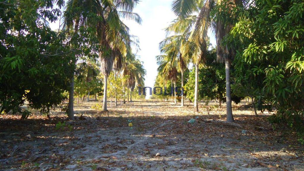 Terreno, 24 m² - Foto 9