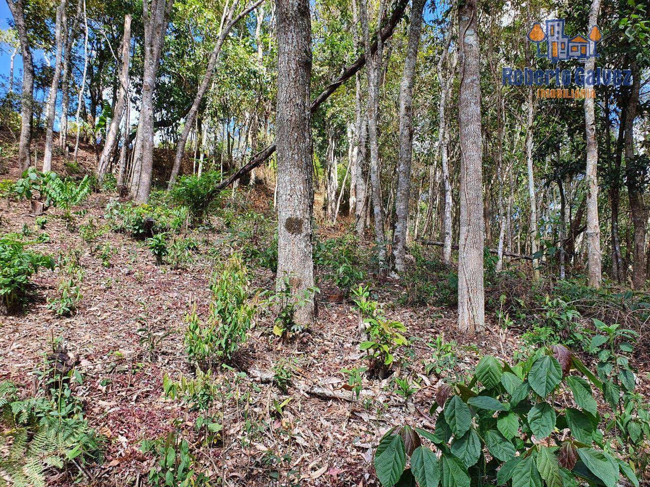 Terreno à venda, 2934M2 - Foto 4