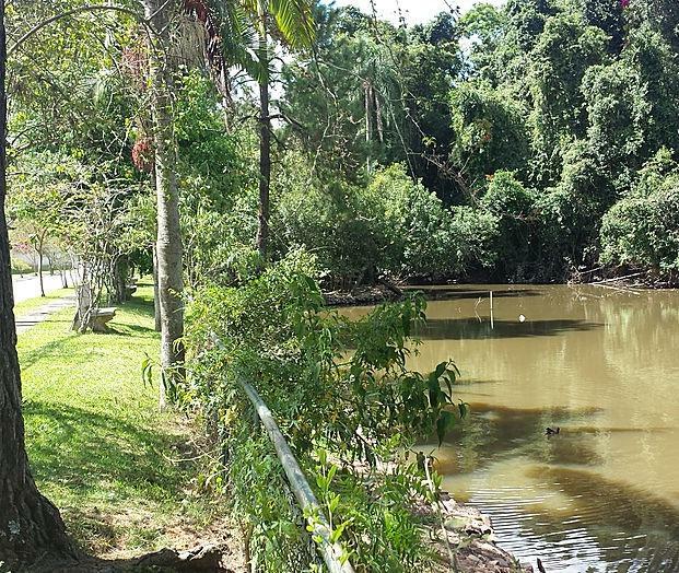 Casa de Condomínio à venda com 4 quartos, 400m² - Foto 33